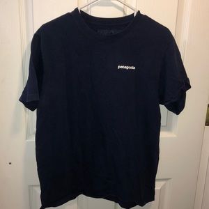Patagonia Shirt